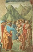 The Baptism of the Neophytes MASACCIO