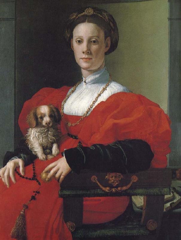 Pontormo Portrait lady