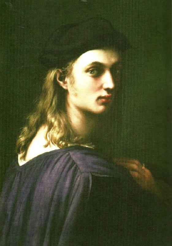 Raphael portrait of bindo altoviti